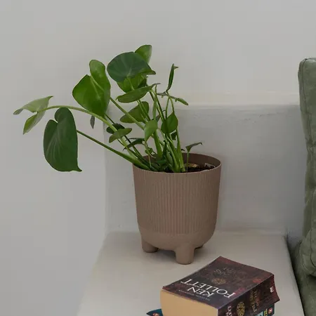 アパート Almira *